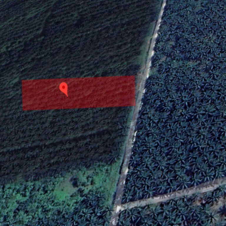 Screenshot 2024 08 02 at 3.15.56 PM 768x768